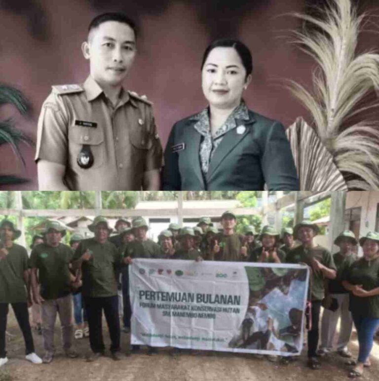 InShot_20251031_214355000