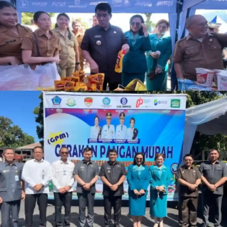 InShot_20251222_160413317