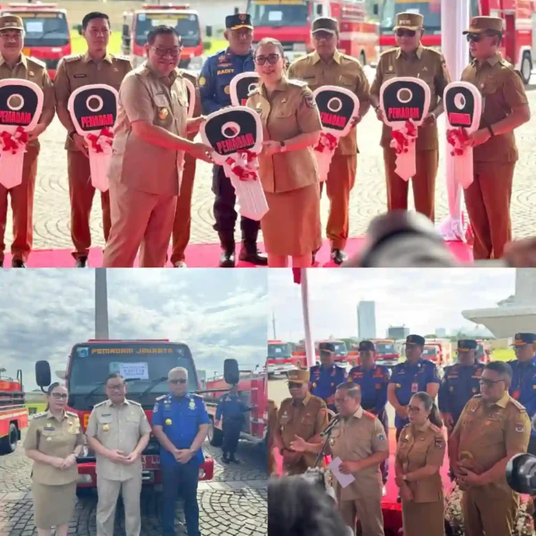 InShot_20251229_173148515