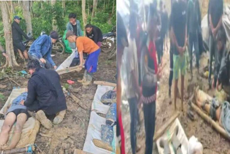 resized_compressed_1766419912554