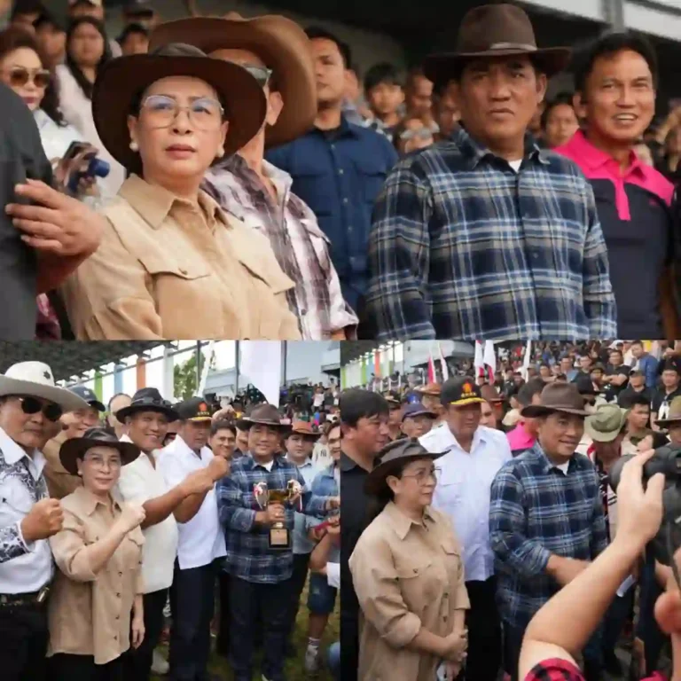 InShot_20260103_232920480