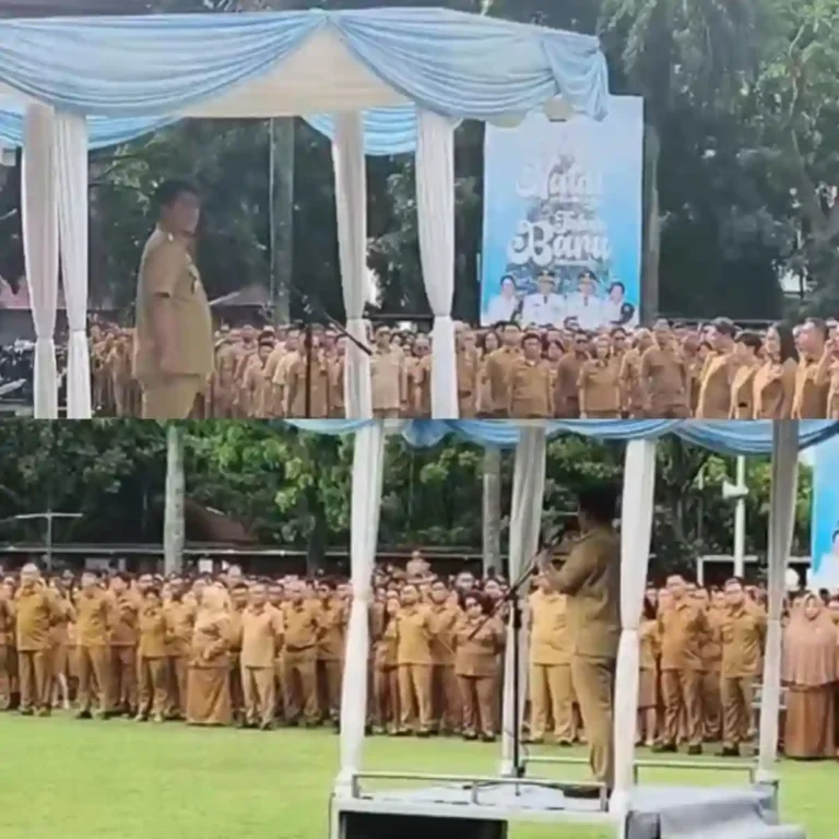 InShot_20260105_101849407