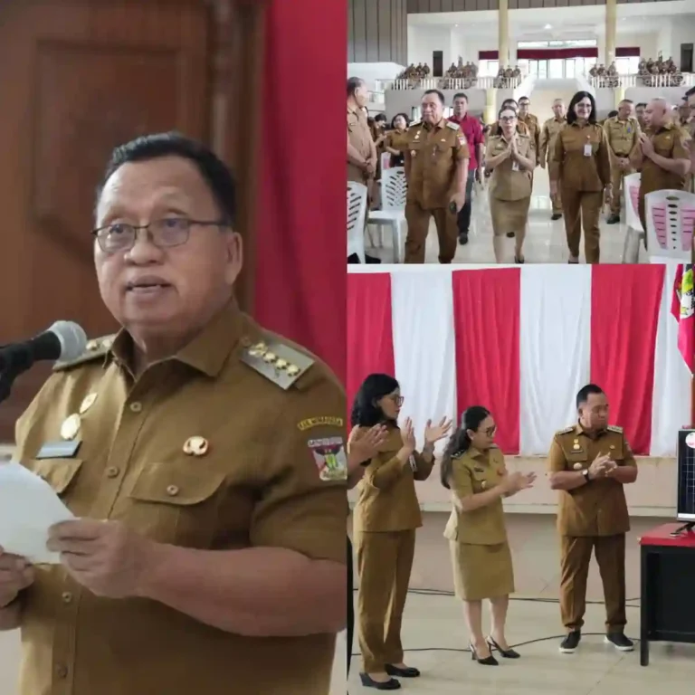 InShot_20260105_125348417