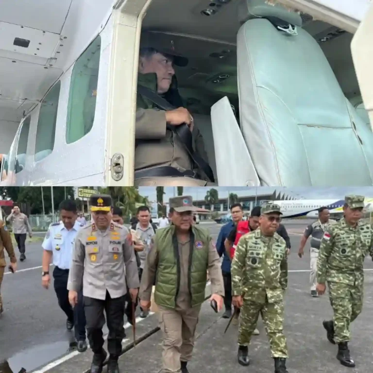 InShot_20260106_152702698