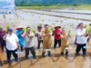 Wabup VaSung Dampingi Wagub Sulut, Gerakan Tanam Padi Dorong Produktivitas Petani Minahasa IMG-20260302-WA0026