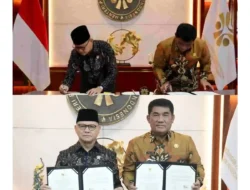 InShot_20260424_195032701