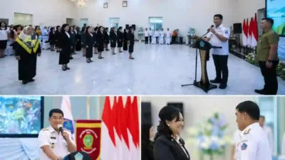 a11dc198-d7af-4e28-9818-8e238cd3c26c