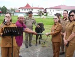 cfbc8301-b263-446a-8ec2-ae0b9f233038